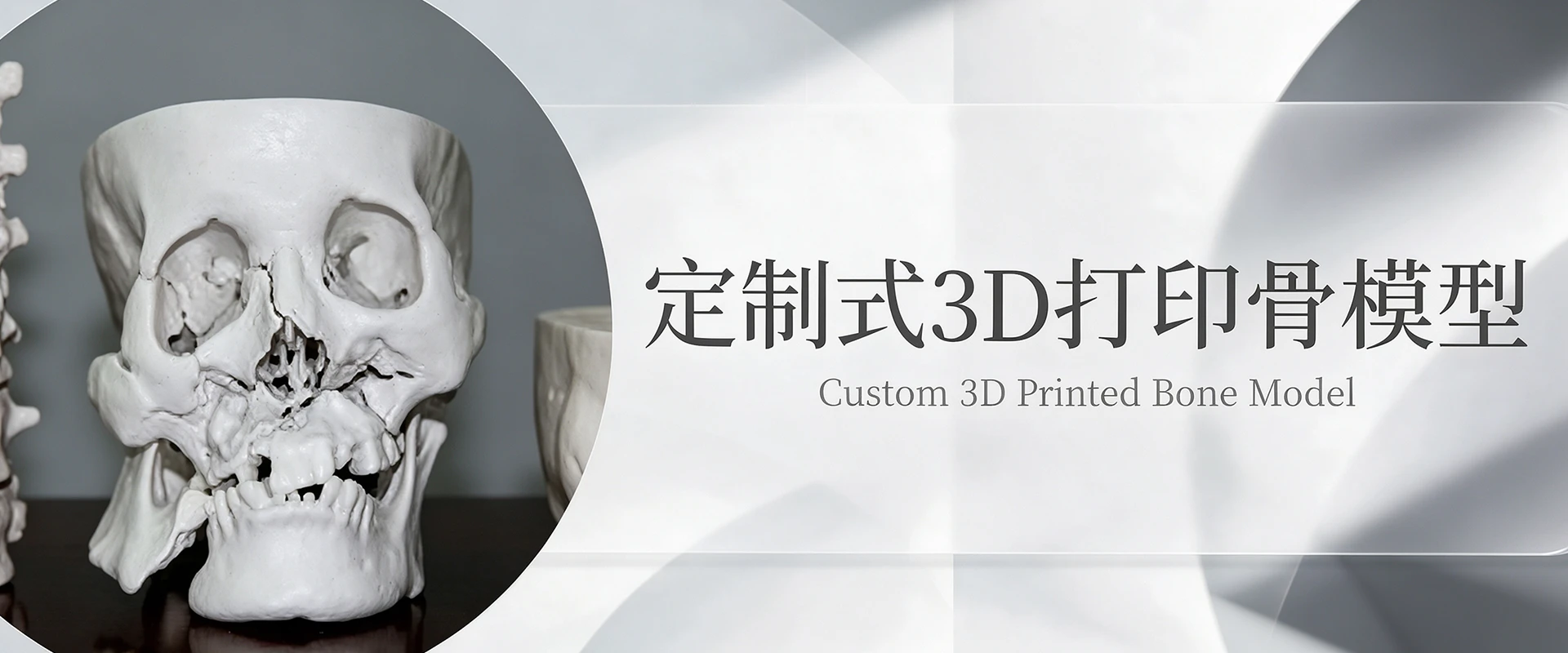 21.定制式3D打印骨模型2