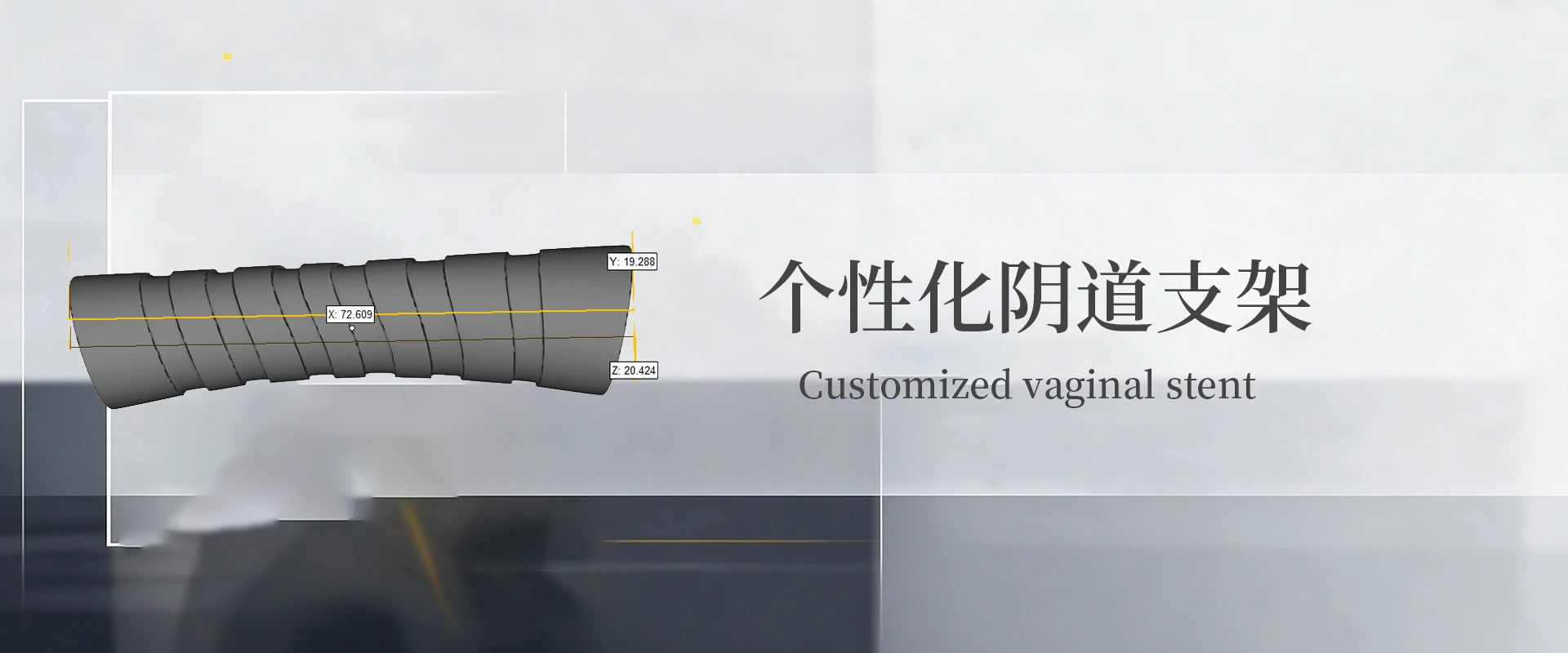 个性化阴道支架2