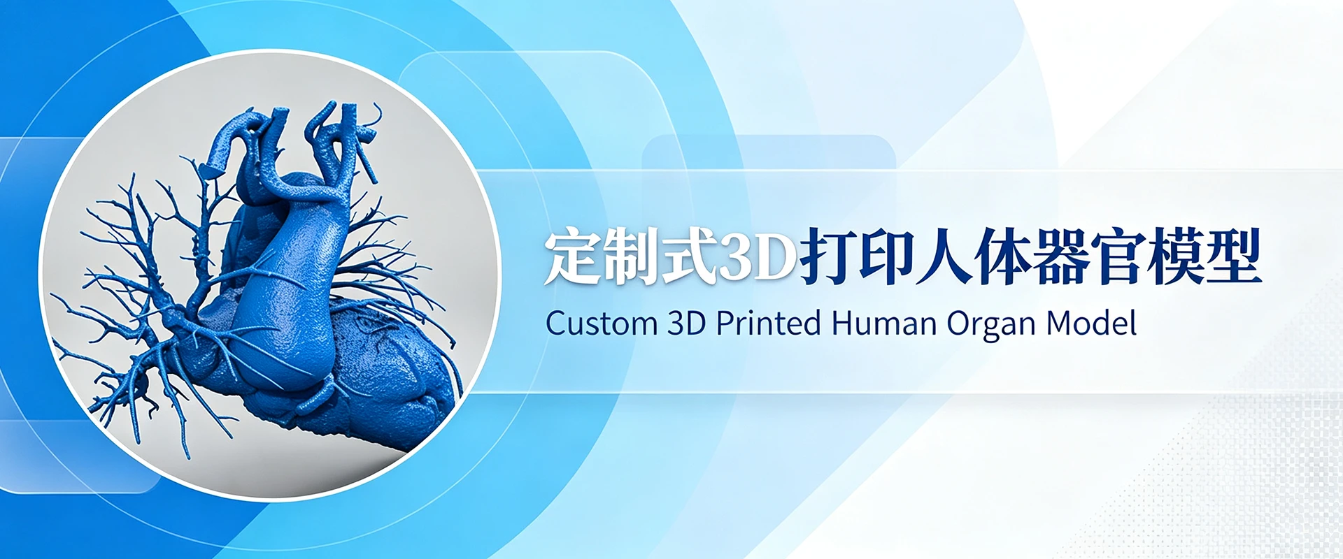 定制式3D打印人体器官模型