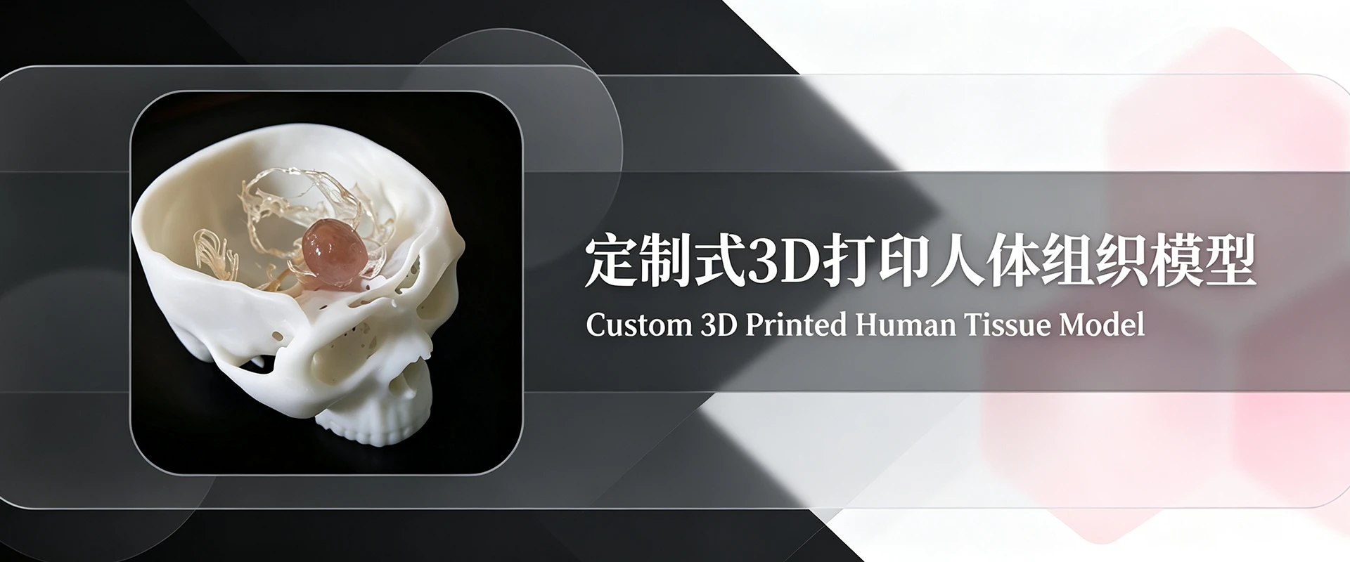 定制式3D打印人体组织模型